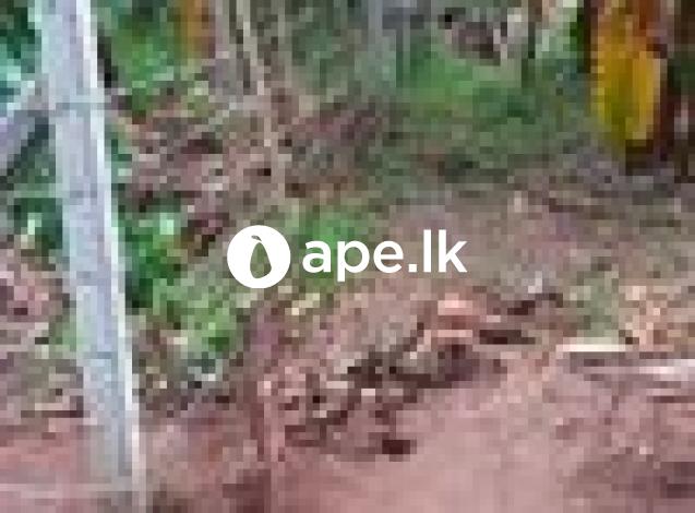 Land For Sale - Menikhinna